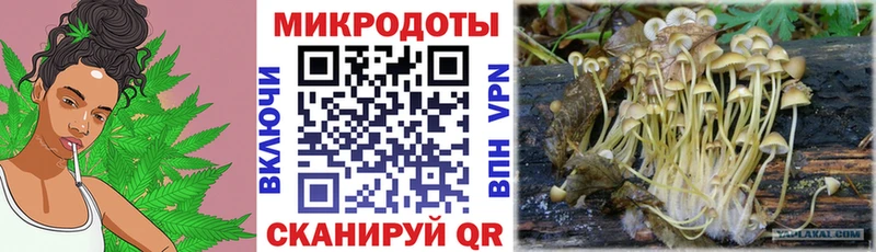 Галлюциногенные грибы MAGIC MUSHROOMS  Купино 